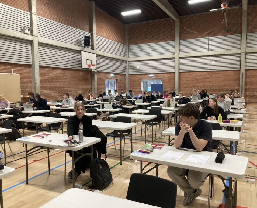 Terminsprøve i Hallen